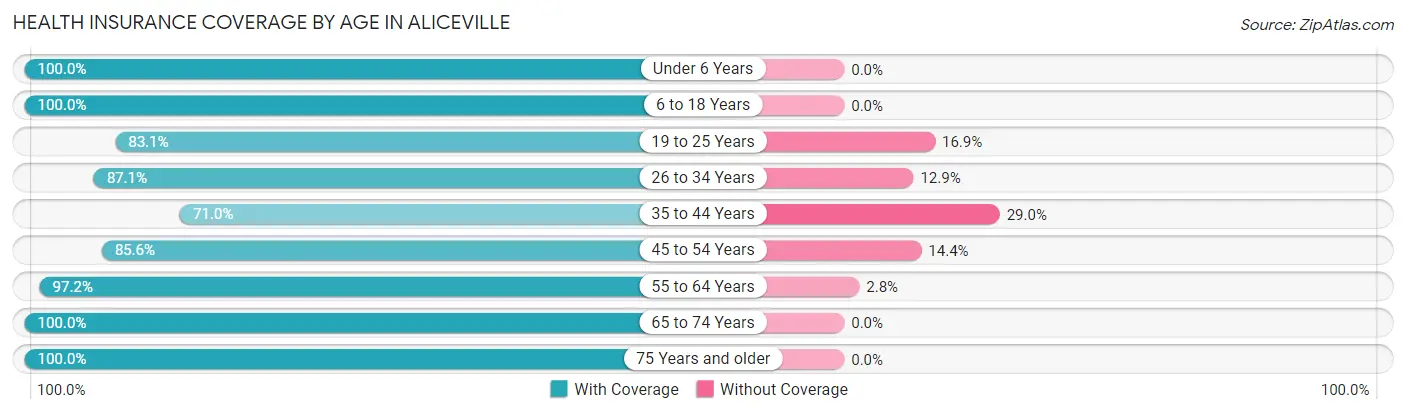 Health Insurance Coverage by Age in Aliceville
