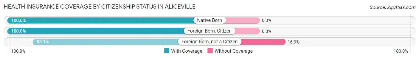Health Insurance Coverage by Citizenship Status in Aliceville