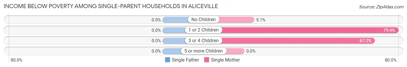 Income Below Poverty Among Single-Parent Households in Aliceville