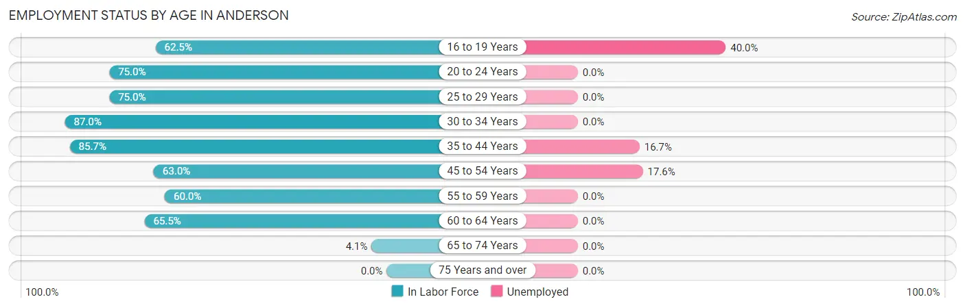 Employment Status by Age in Anderson