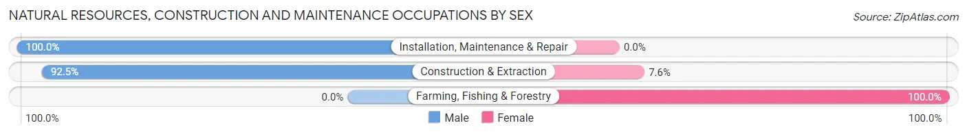 Natural Resources, Construction and Maintenance Occupations by Sex in Ashford