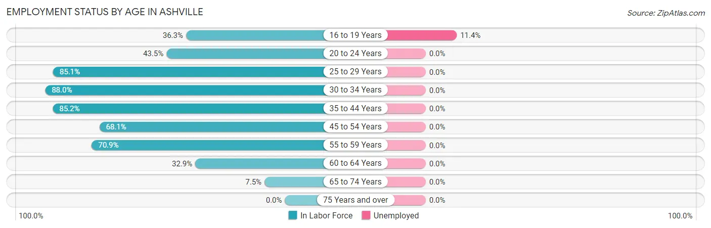 Employment Status by Age in Ashville