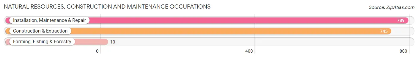 Natural Resources, Construction and Maintenance Occupations in Auburn