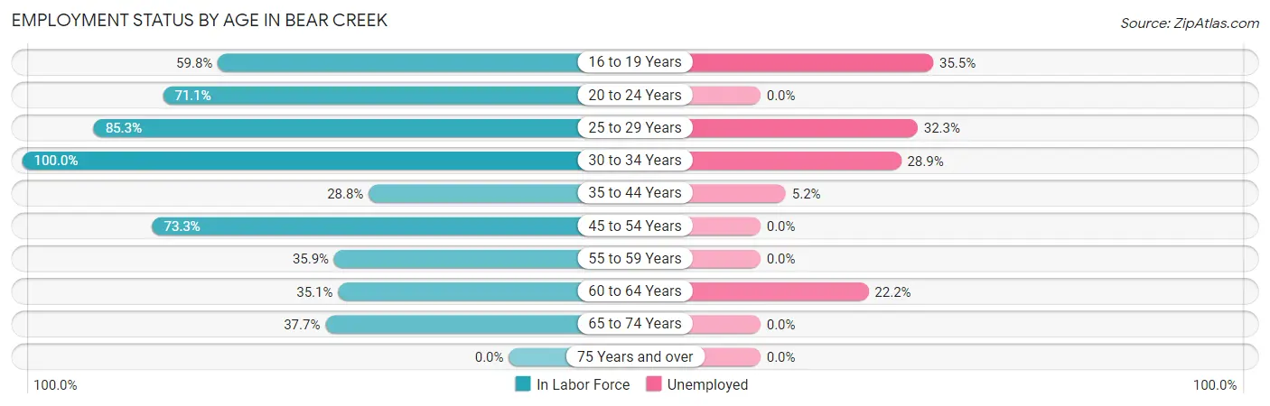 Employment Status by Age in Bear Creek