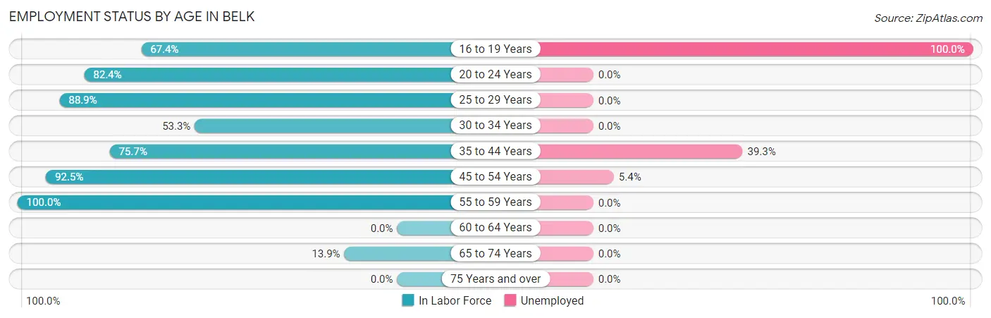 Employment Status by Age in Belk