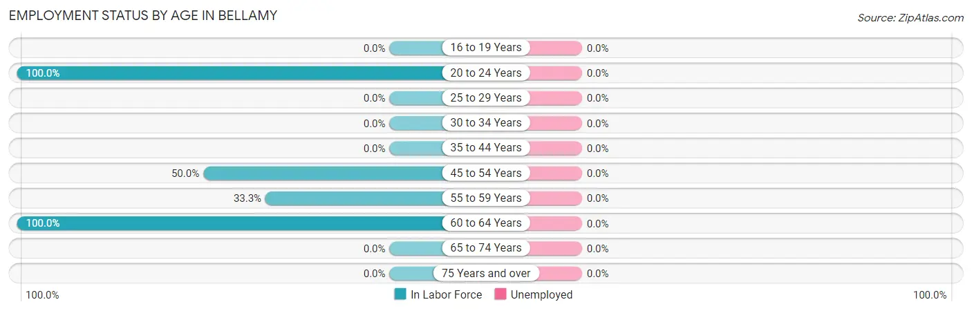 Employment Status by Age in Bellamy