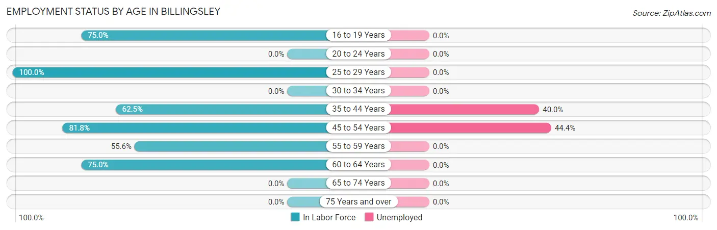 Employment Status by Age in Billingsley