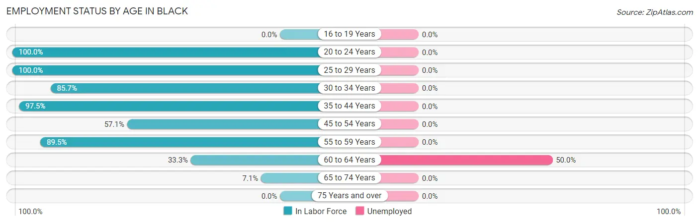Employment Status by Age in Black