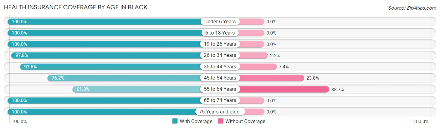 Health Insurance Coverage by Age in Black