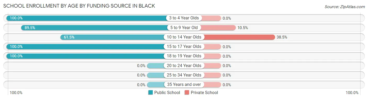 School Enrollment by Age by Funding Source in Black