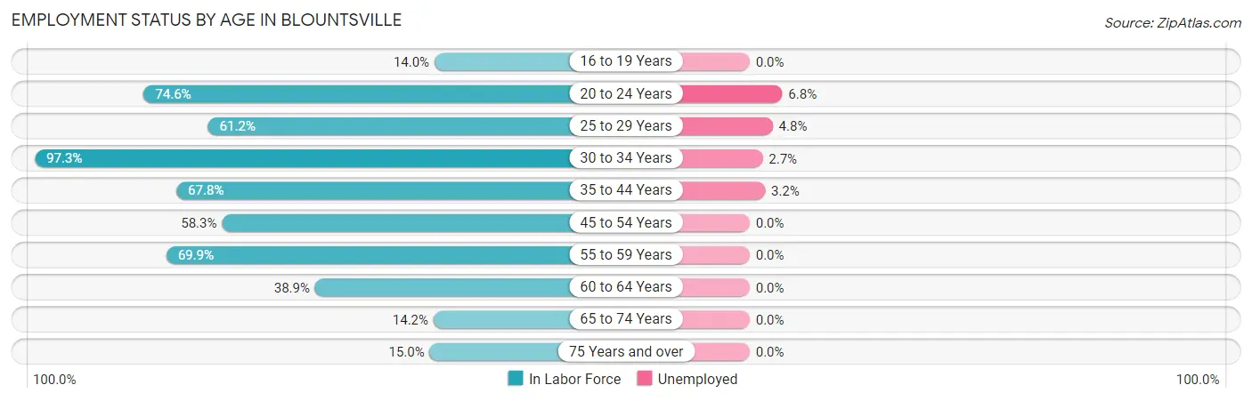 Employment Status by Age in Blountsville