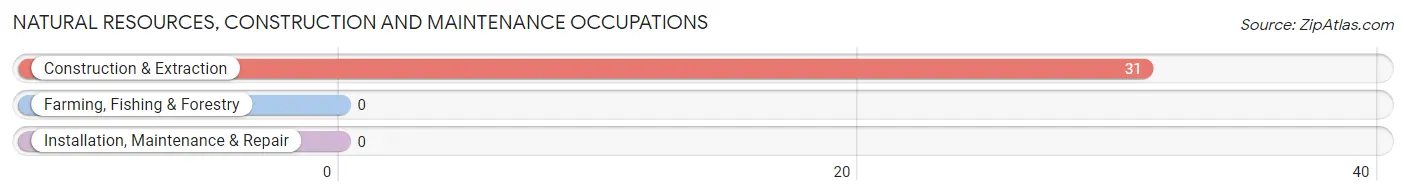 Natural Resources, Construction and Maintenance Occupations in Blue Ridge