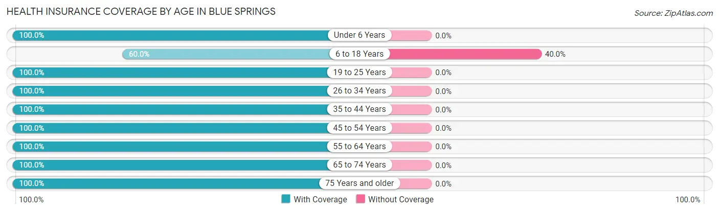 Health Insurance Coverage by Age in Blue Springs