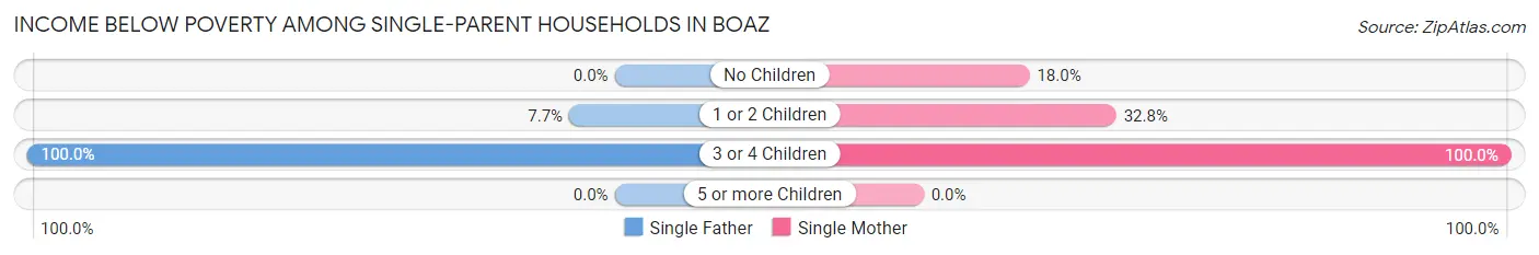 Income Below Poverty Among Single-Parent Households in Boaz