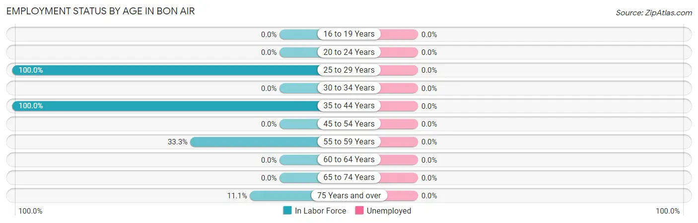 Employment Status by Age in Bon Air