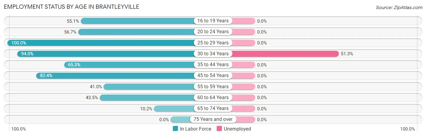Employment Status by Age in Brantleyville