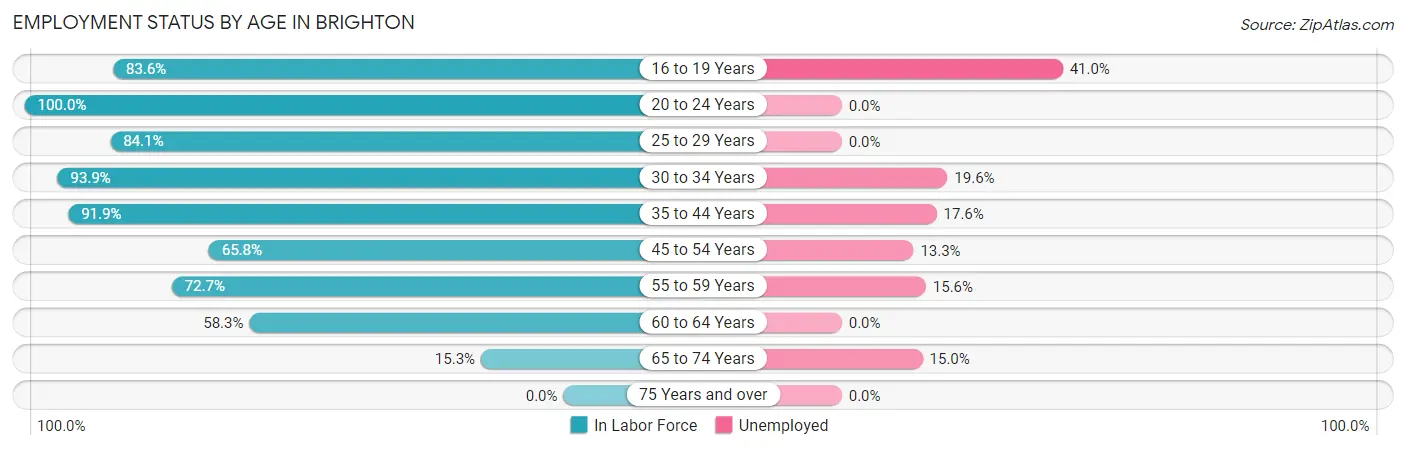 Employment Status by Age in Brighton