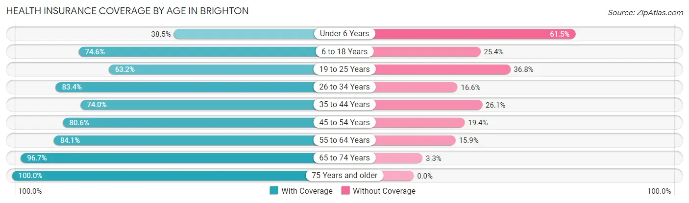 Health Insurance Coverage by Age in Brighton
