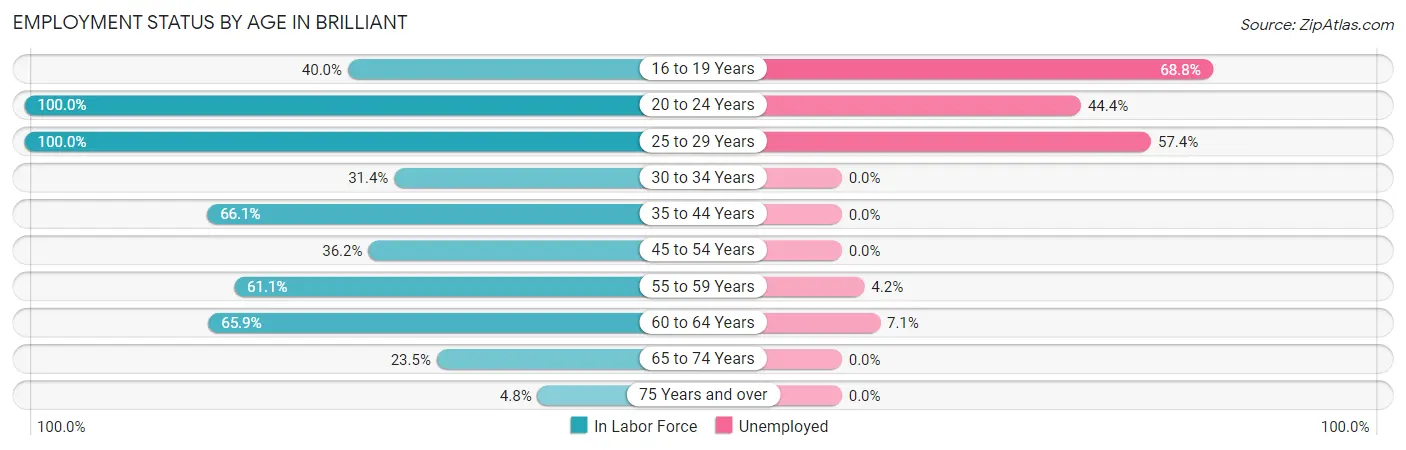Employment Status by Age in Brilliant