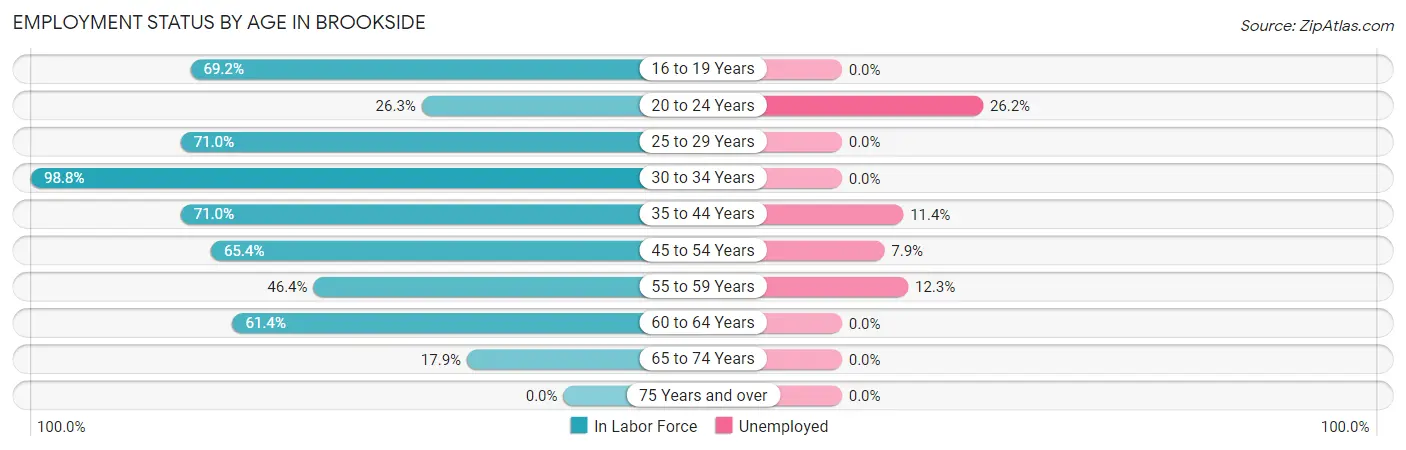 Employment Status by Age in Brookside