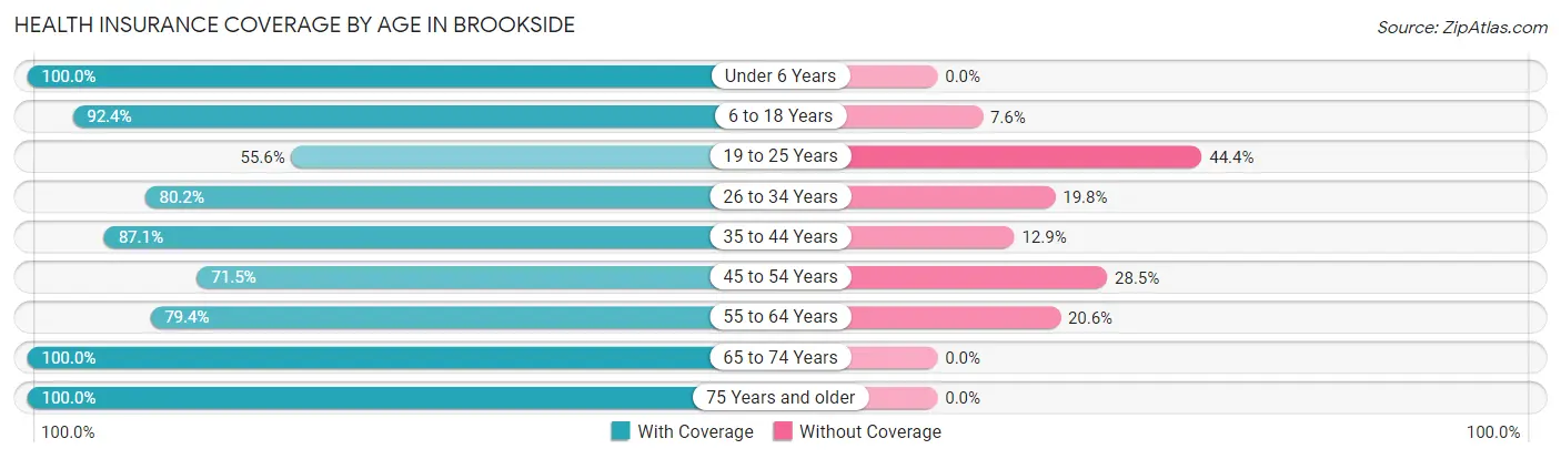 Health Insurance Coverage by Age in Brookside