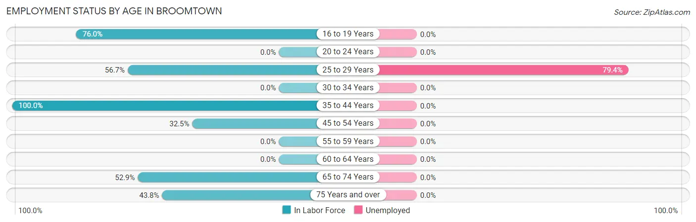 Employment Status by Age in Broomtown