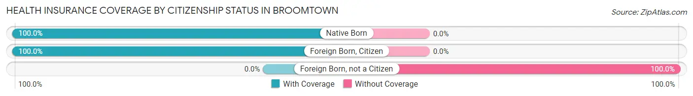 Health Insurance Coverage by Citizenship Status in Broomtown