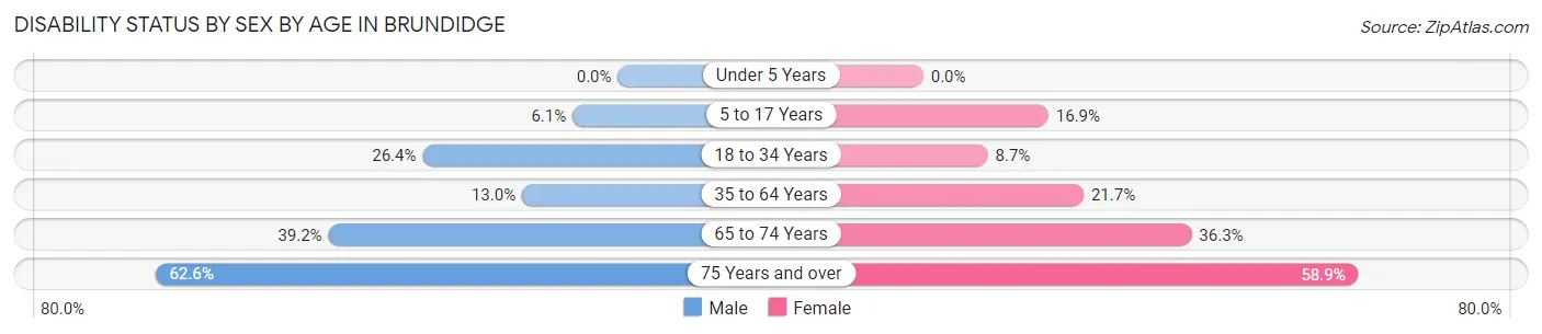 Disability Status by Sex by Age in Brundidge