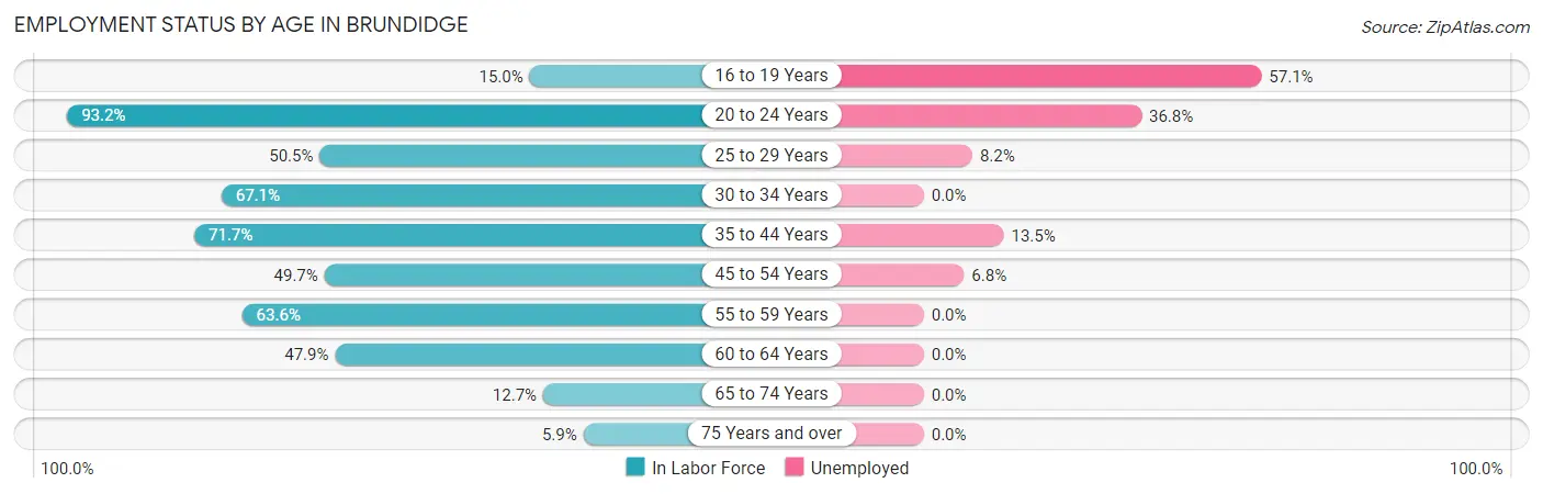 Employment Status by Age in Brundidge