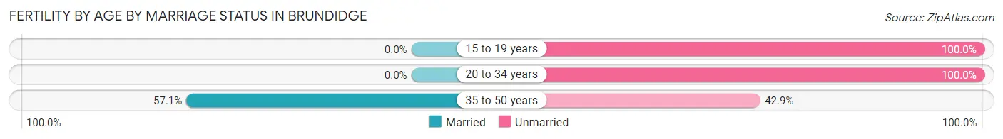 Female Fertility by Age by Marriage Status in Brundidge