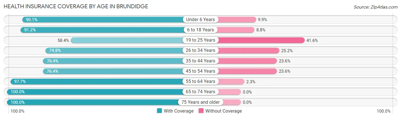 Health Insurance Coverage by Age in Brundidge
