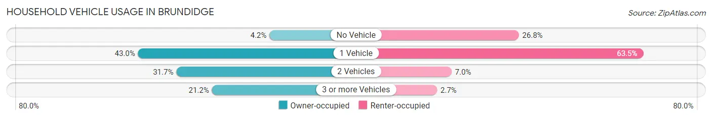 Household Vehicle Usage in Brundidge
