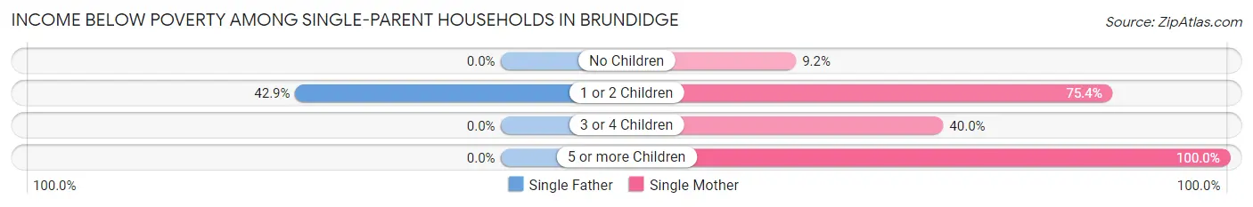 Income Below Poverty Among Single-Parent Households in Brundidge