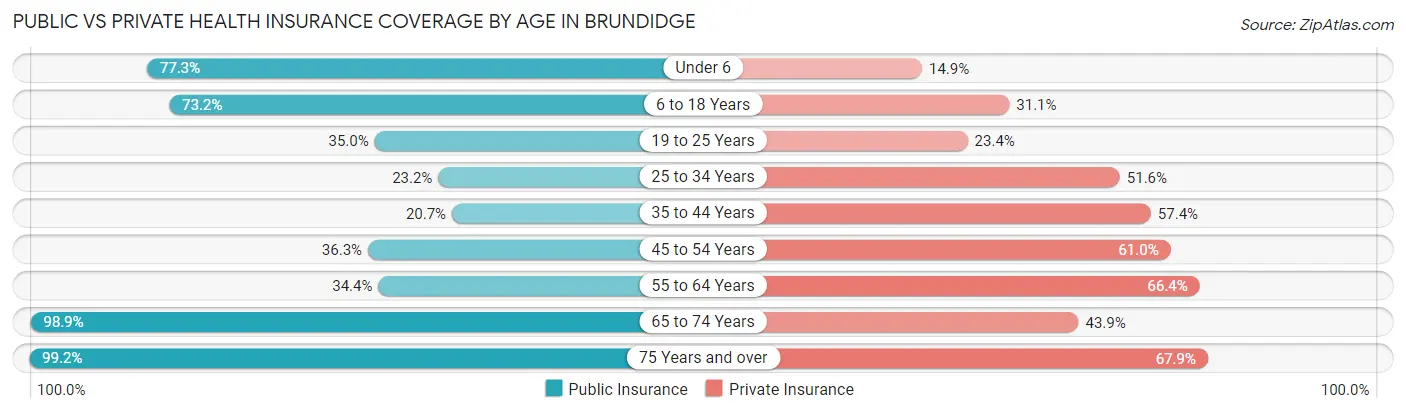 Public vs Private Health Insurance Coverage by Age in Brundidge