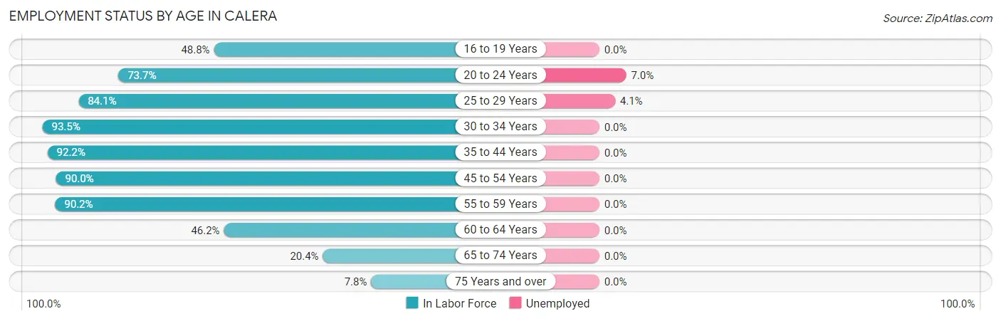 Employment Status by Age in Calera