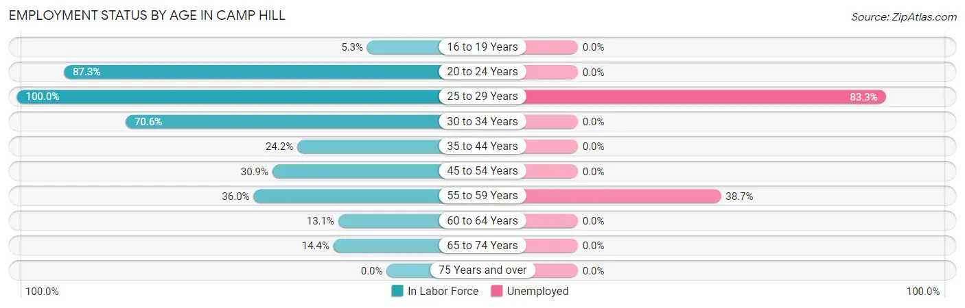 Employment Status by Age in Camp Hill