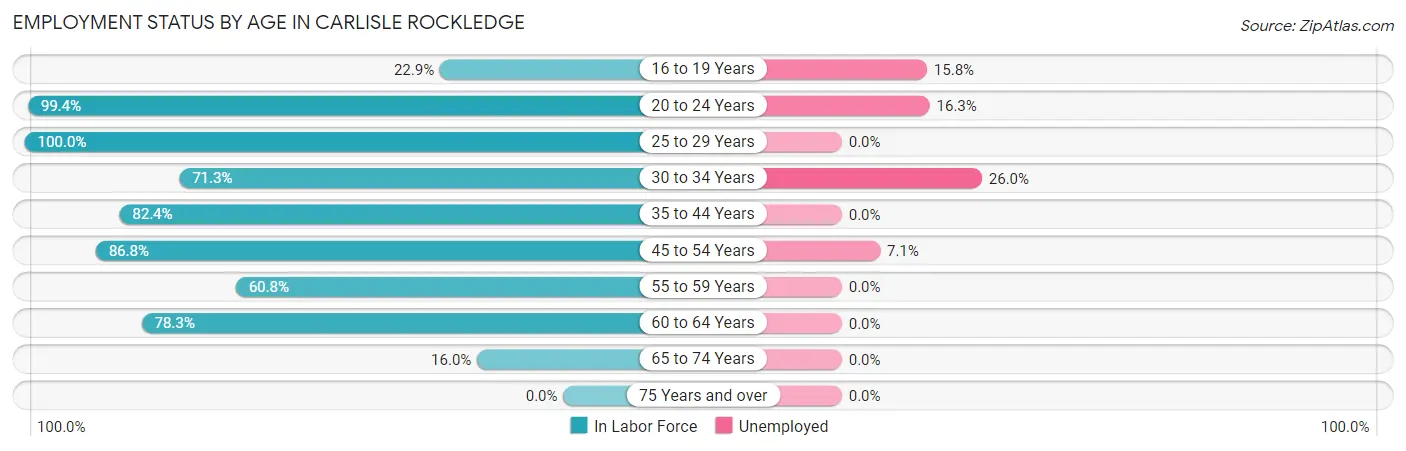 Employment Status by Age in Carlisle Rockledge