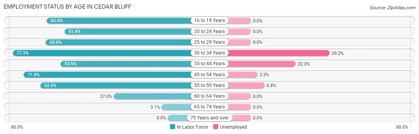 Employment Status by Age in Cedar Bluff
