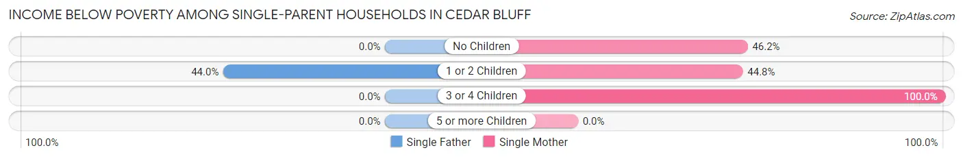 Income Below Poverty Among Single-Parent Households in Cedar Bluff