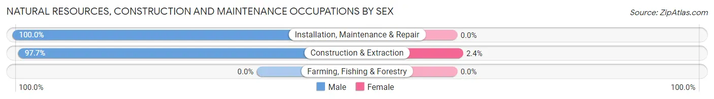 Natural Resources, Construction and Maintenance Occupations by Sex in Cedar Bluff