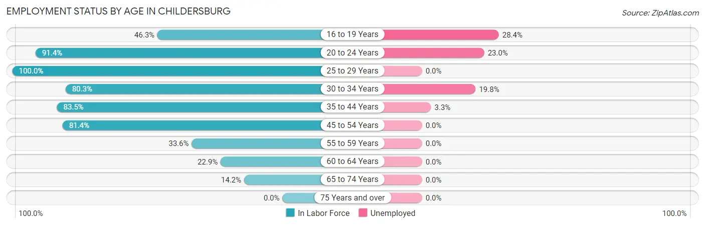 Employment Status by Age in Childersburg