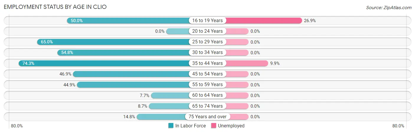 Employment Status by Age in Clio