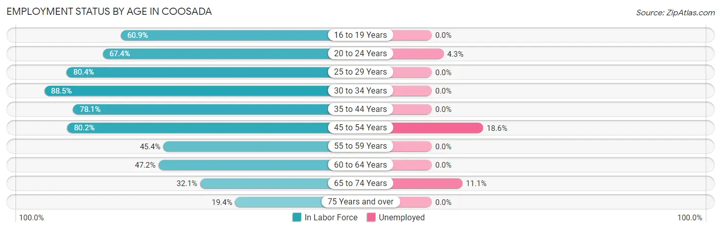 Employment Status by Age in Coosada
