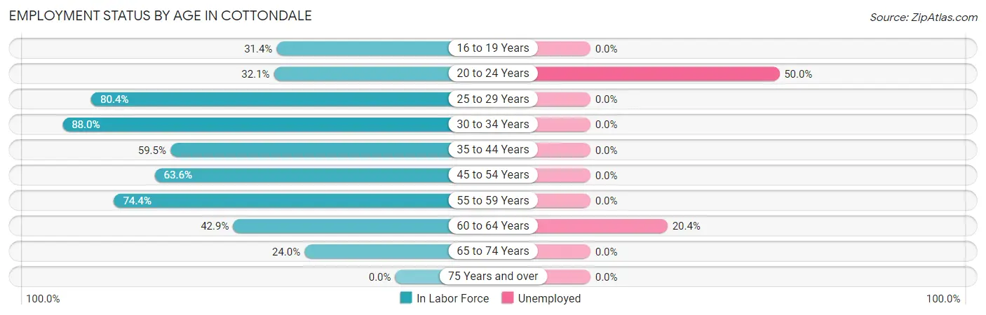 Employment Status by Age in Cottondale
