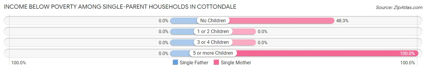 Income Below Poverty Among Single-Parent Households in Cottondale