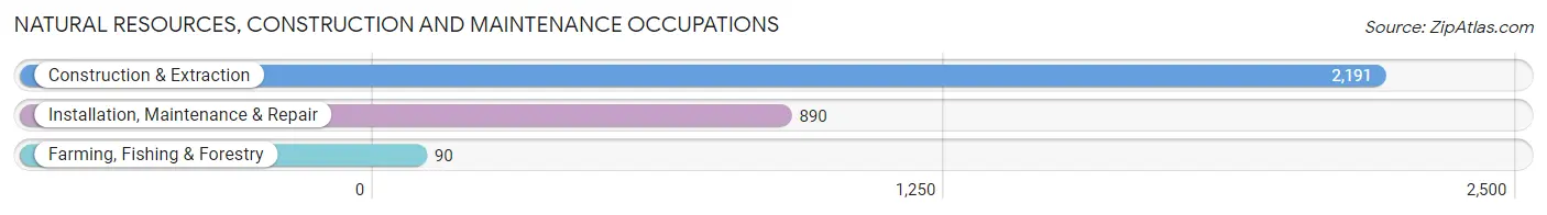 Natural Resources, Construction and Maintenance Occupations in Decatur