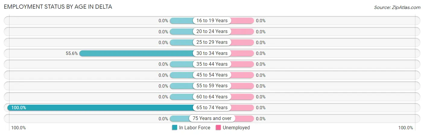 Employment Status by Age in Delta