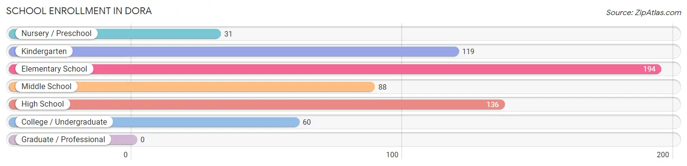 School Enrollment in Dora