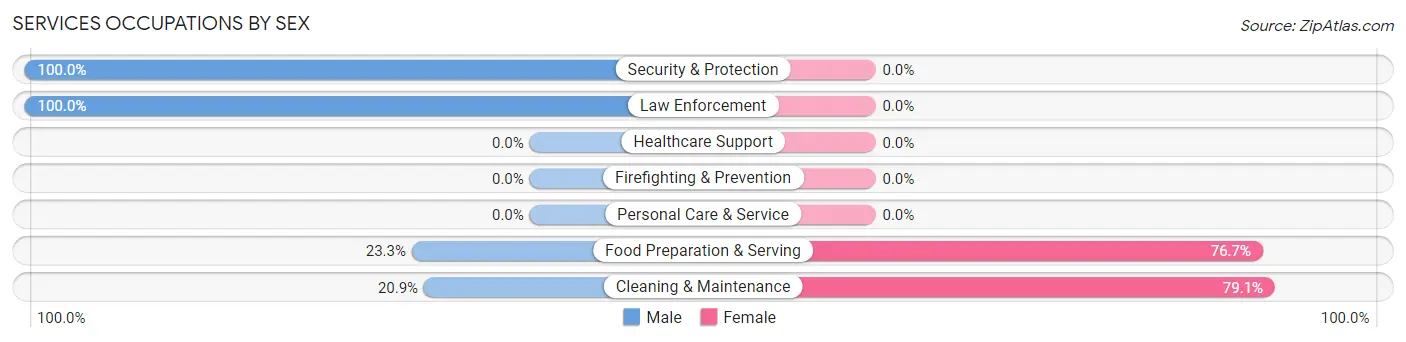 Services Occupations by Sex in Dora