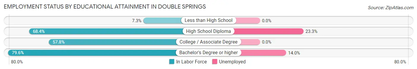 Employment Status by Educational Attainment in Double Springs